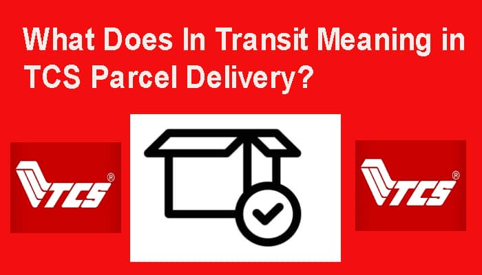 What Does In Transit Meaning in TCS Parcel Delivery
